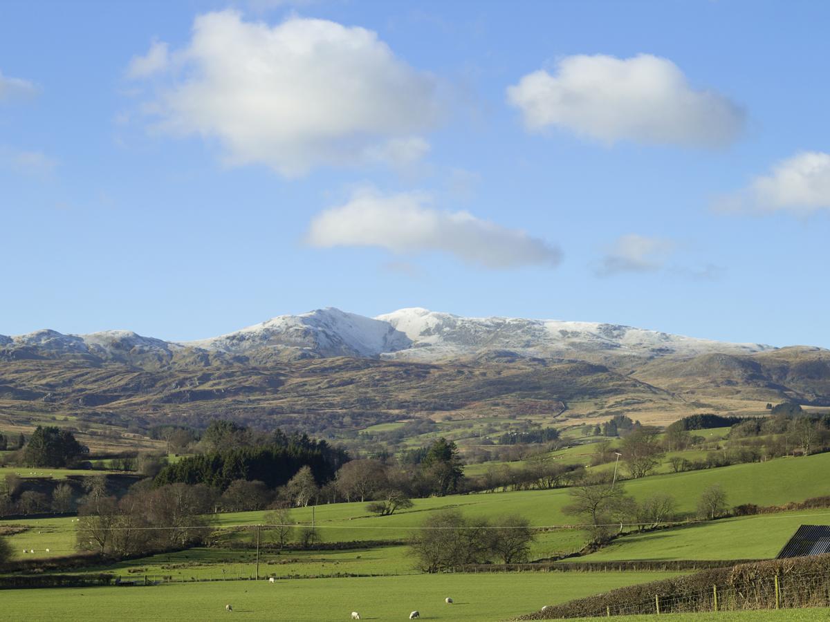 Cyffdy Cottage - Arenig Бала Екстериор снимка